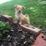 Lenny Dawg Manning - @lennydawgmanning - Instagram