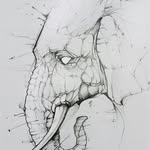 Lenny Mathews - @nobby7174 - Instagram