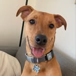Leonard “Lenny” Mathews Peyton - @sirleonardmathewspeyton - Instagram