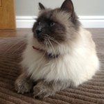 Lenny - @_lenny_murphy_ - Instagram