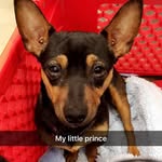 @lennymurphy_456 - Instagram