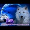 lennymurphy - @lennon.murphy - TikTok