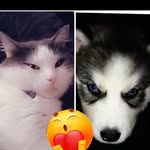 Lenny Samuel León Beltrán - @lennysamuelleonbeltran - Instagram