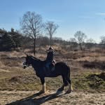 Lenny Steine - @lenny_steine - Instagram