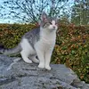 Lenny Steinröx - @lenny.steinrx - TikTok