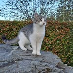 Lenny Steinröx - @lennysteinrox11 - Instagram