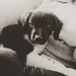 @lennyornstein - Instagram