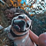 Lennysteiner - @lennysteiner - Instagram