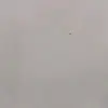 lenny vera - @lenny.vera3 - TikTok
