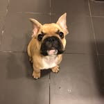 Lenny Walker - @lifeoflen - Instagram