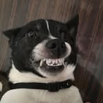 Lenny Walker - @lennywalker1679 - Instagram