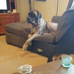 Lenny Walker - @lennywalker1955 - Instagram