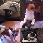 Lenny Walker - @lennywalker6694 - Instagram