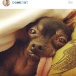 @lennywalker_ - Instagram