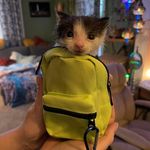 Lenny - @lennywebbytavi - Instagram
