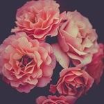 Lenora Ginger Anderson - @aronellenora - Instagram