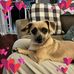 Lenora Beard - Facebook