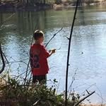 Lenora Brandenburg - @lenorabrandenburg - Instagram