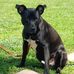 Lenora Brandenburg - Facebook