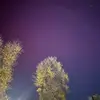 lenorakeegan95 - @lenoracarter21 - TikTok