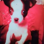 Lenora Christopher - @kimbabybrownie - Instagram