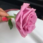 Lenora Clarke - @lzrclarke1 - Instagram