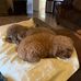 Lenore Jackson DeVine - Facebook
