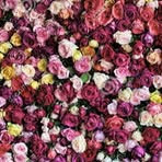 Lenora Grace - Facebook