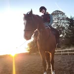 Ruby Lenora Grant - @ruby.lenora.equine - Instagram