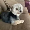 Lenora Harding - @lenora1942 - TikTok