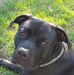 Lenora Hargrove - Facebook