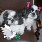 Lenora Harris - @lenora.harris.7 - Instagram