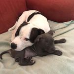 LENORA HARRIS - @lenoraharris065 - Instagram