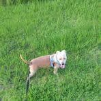 Lenora Hart - Facebook