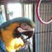 Lenora Hicks - Facebook