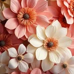 Leonora Hieber - Facebook