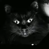 Lenora - @lenora_hunter_ - TikTok