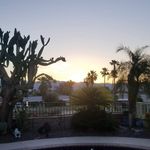 Lenore Ingram - @le.ngra - Instagram