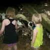 lel - @lenorajohnston - TikTok