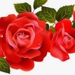 Lenora Lovett - @llovett01 - Instagram