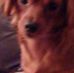 Lenora Lynch - Facebook