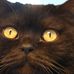 Lenore McCarthy Gallo - Facebook