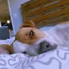 lenoramcguire - @lenoramcguire - TikTok