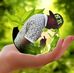 Lenox Mkuu - Facebook