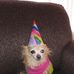Lenore Mercer - Facebook