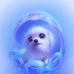 Lenore Meyers - Facebook