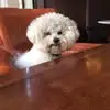 michaellenora - @michael.lenora - TikTok