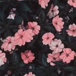 lenora - @lenora_miller_ - Instagram