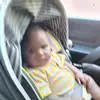 Lenora Morrison - @lenora.morrison1 - TikTok