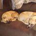 Lenora Mullen - Facebook